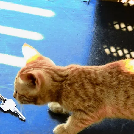 Sea Rock & Sky Private Merchia Beach