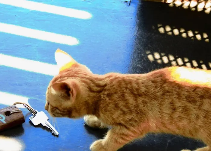 Sea Rock & Sky Private Merhia-part