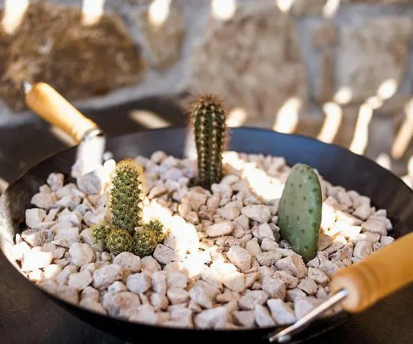 Apartmanhotel Sea Rock & Sky Private 3*